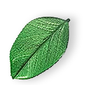 https://countitjoyorganizing.org/wp-content/uploads/2025/07/floating_leaf_01.png